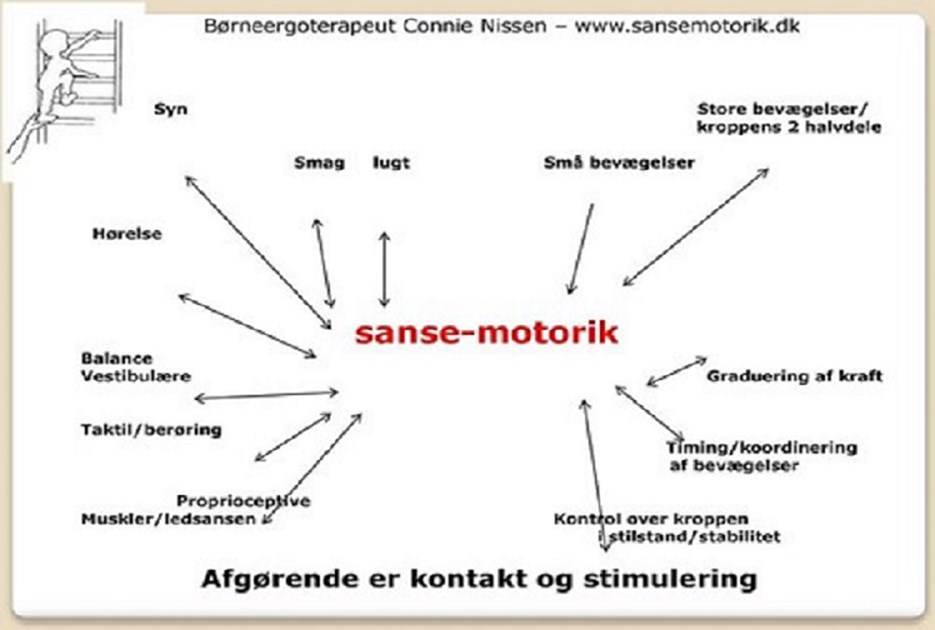 Sansemotorik - Børneergoterapeut Connie Nissen - www.sansemotorik.dk